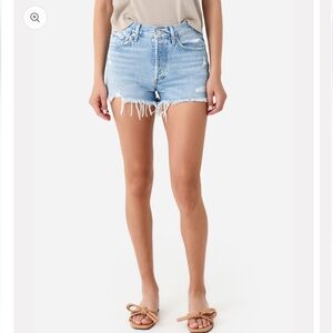 AGOLDE Parker Vintage Cut Off Short in Swampmeet